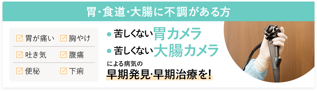 胃・食道・大腸に不調がある方　苦しくない胃カメラ痛くない大腸カメラによる病気の早期発見・早期治療を！