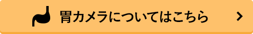 胃カメラについてはこちら