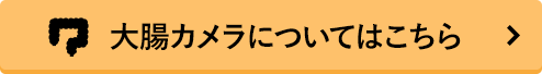 大腸カメラについてはこちら